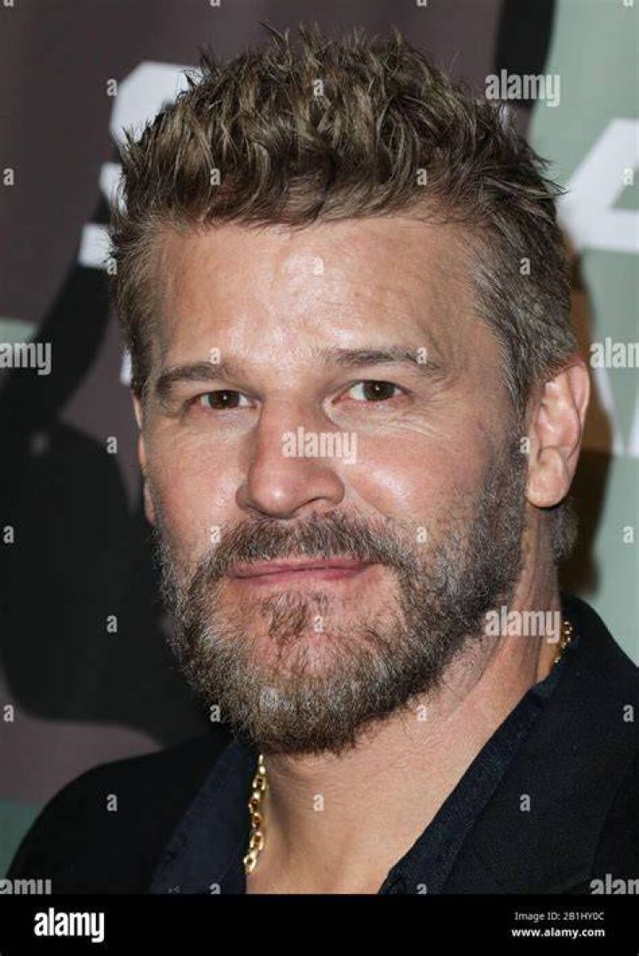 Actor David Boreanaz arrives at the Us Weekly Hot Hollywood Style Issue Event in Hollywood, California