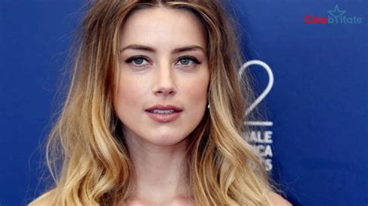 Amber Heard Bio (Wiki) 