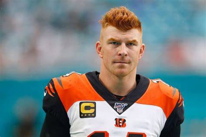 Andy Dalton Bio (Wiki) 
