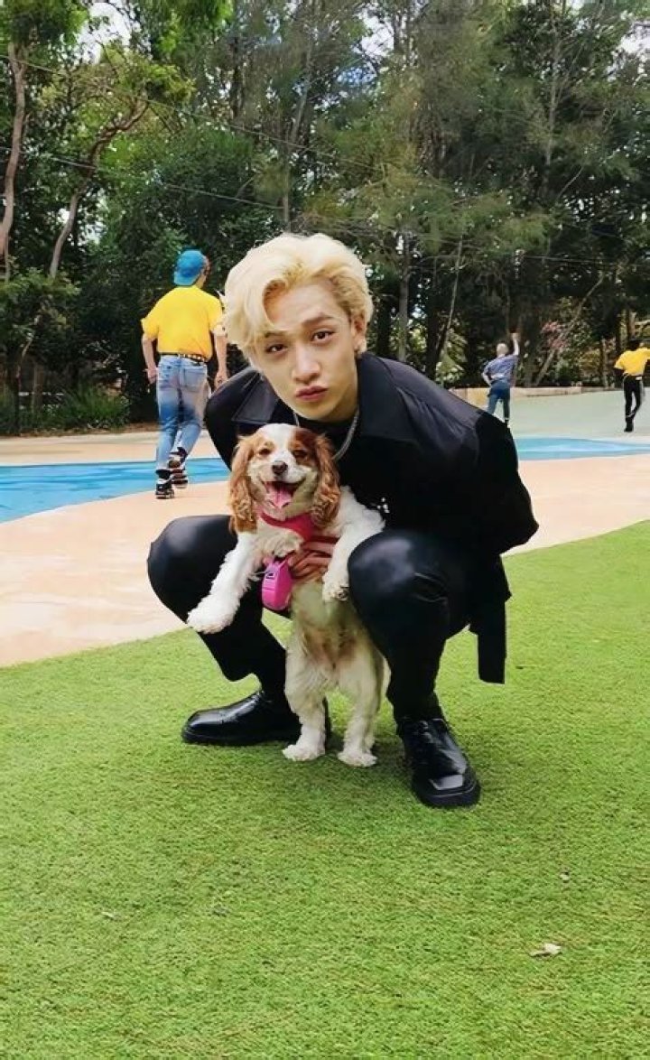Bang Chan Pets