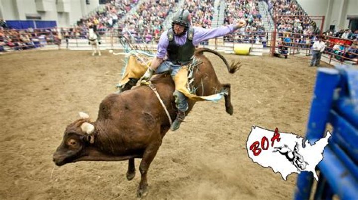 Bull-Riders