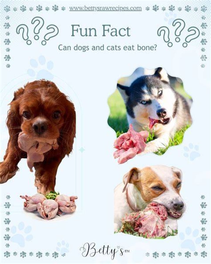 Can bone meal harm dogs?