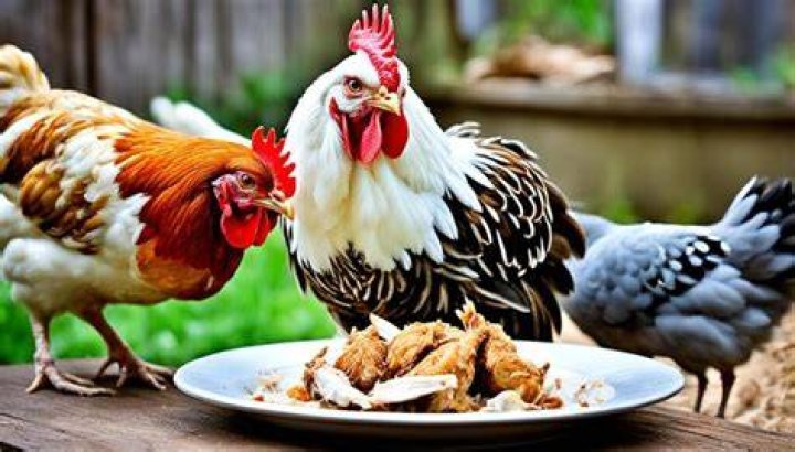 Can chickens eat termites?
