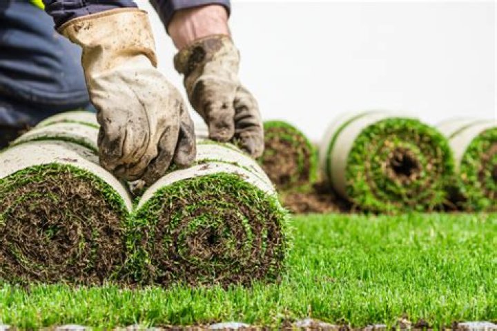 Can you lay sod while its raining?