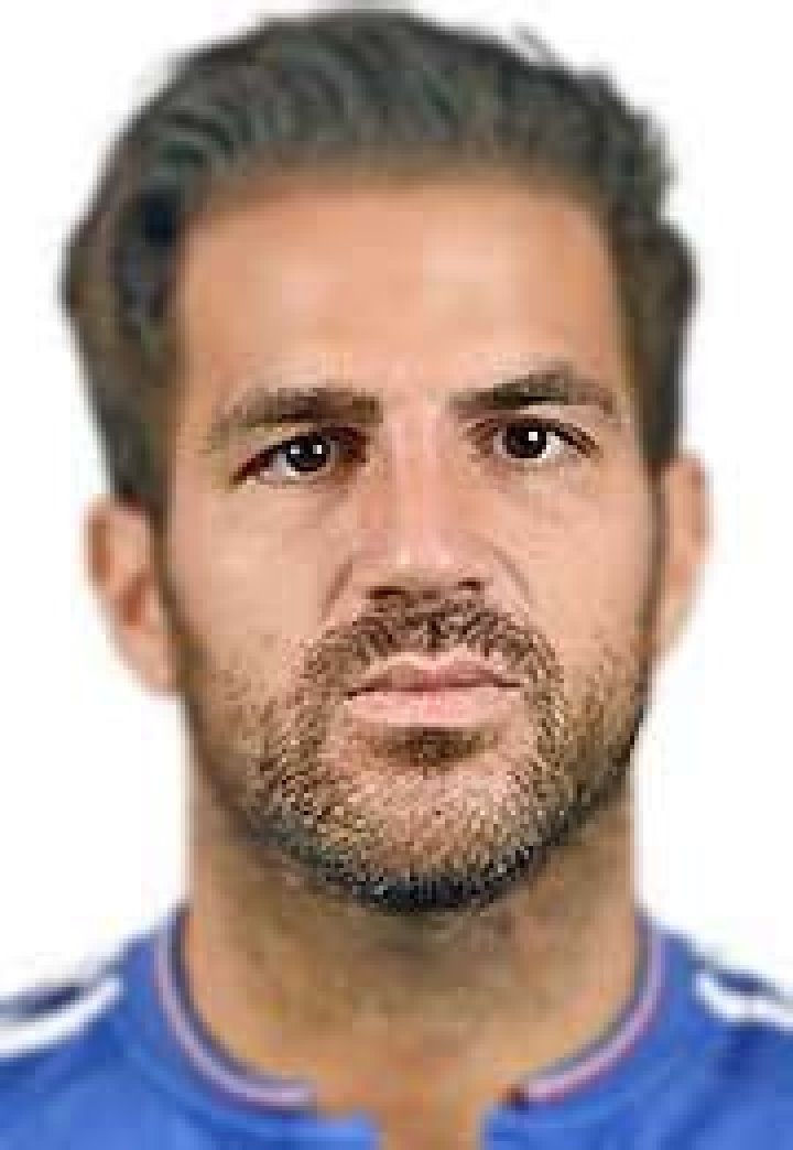 Cesc Fàbregas Bio (Wiki) 