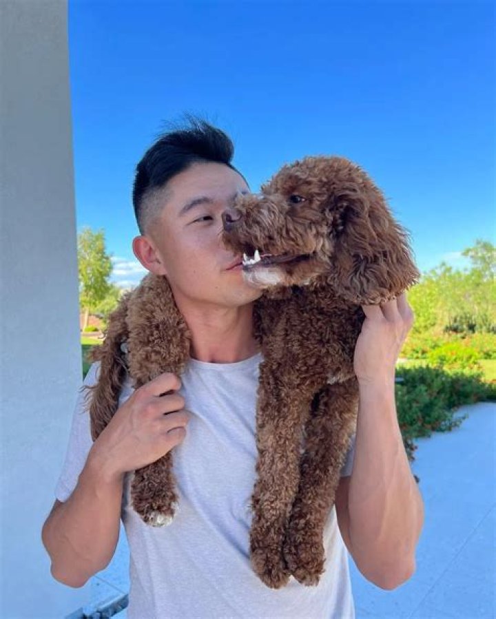 Collin Morikawa Pets