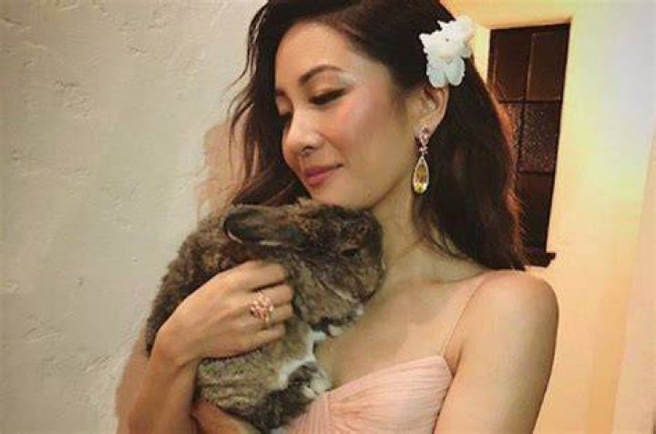 Constance Wu Pets