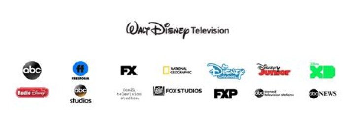 Disney ABC Television Group's 2014 Winter TCA Party - Arrivals
