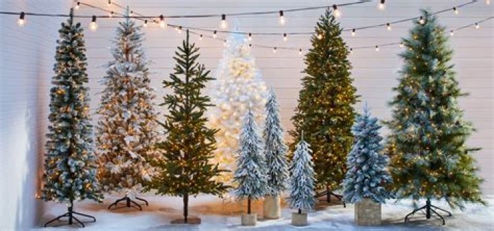 Does Canadian Tire have Christmas trees?