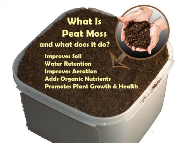 Does peat moss affect soil pH?