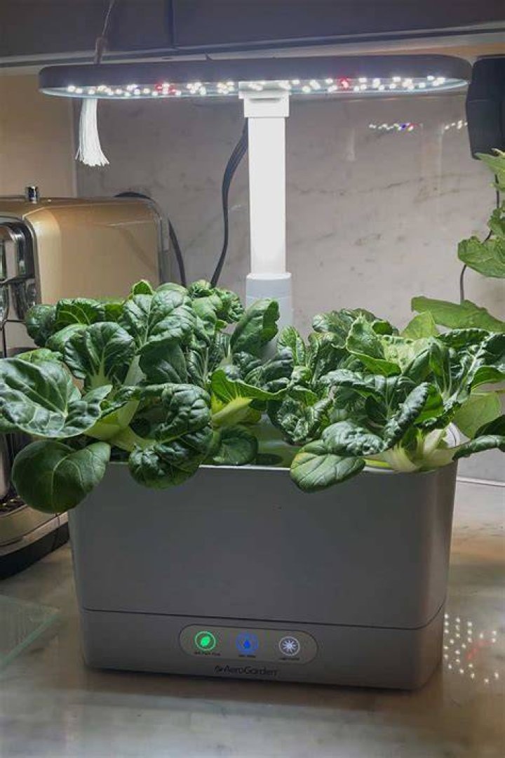Does the AeroGarden use much electricity?
