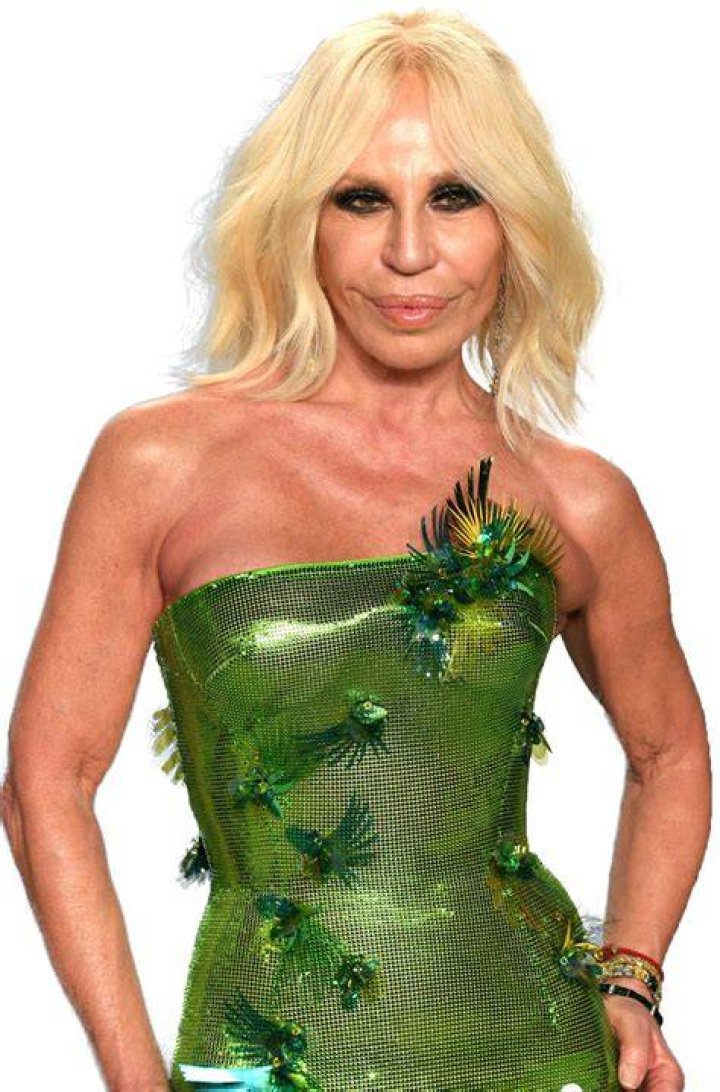 Donatella Versace Bio (Wiki) 