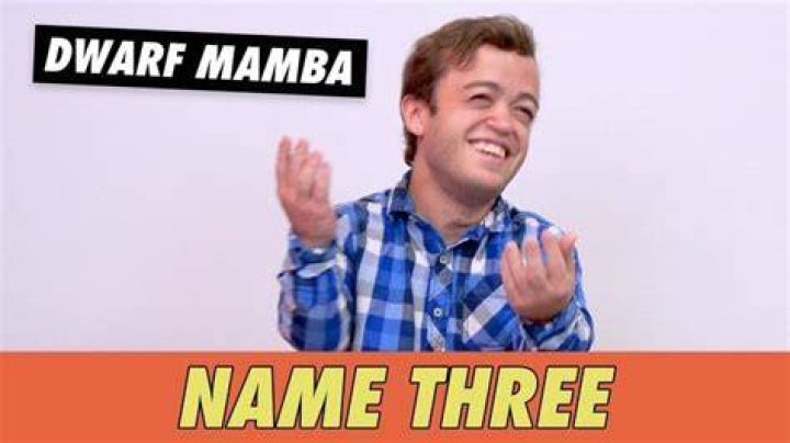 Dwarf Mamba - Age, Family, Bio
