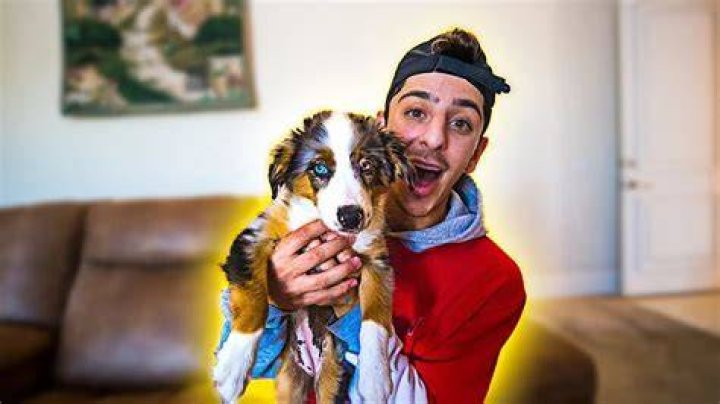 FaZe Rug Pets