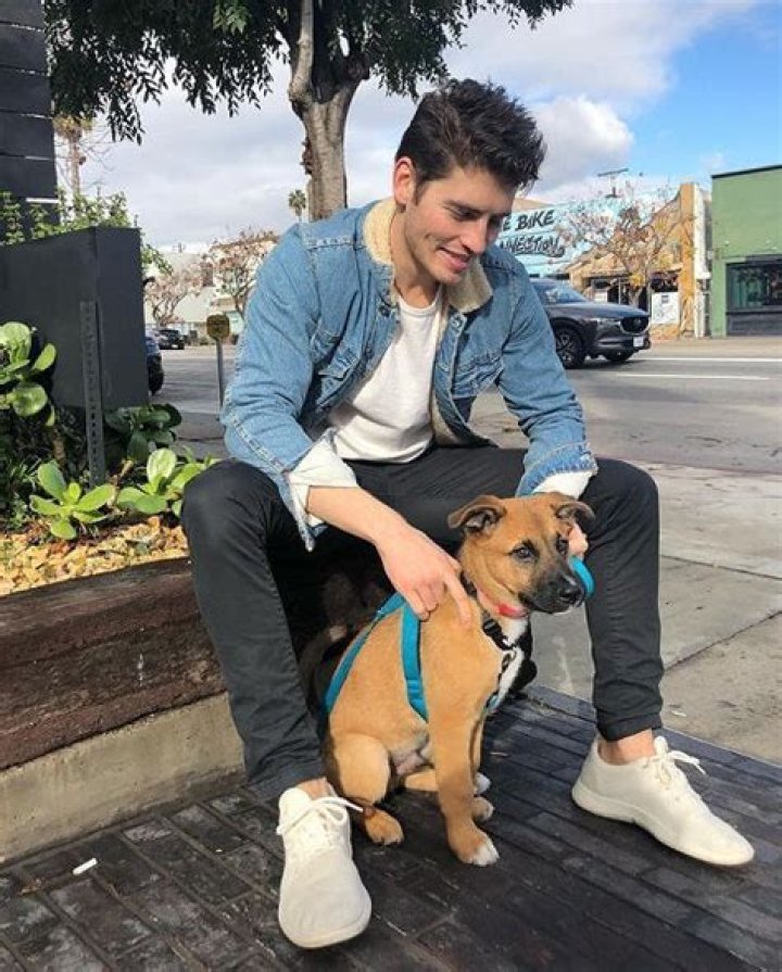 Gregg Sulkin Pets