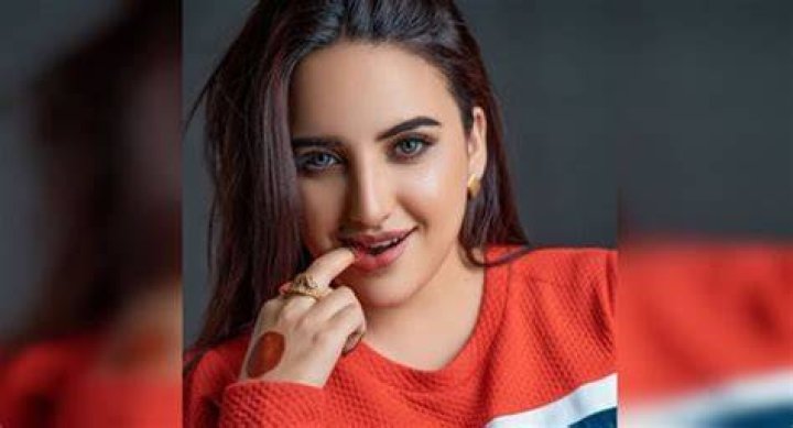 Hareem Shah Colgate video controversy explored as TikTok star issues statement