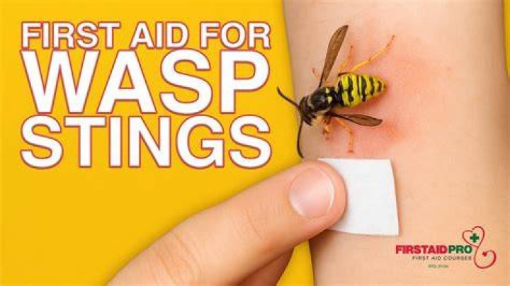 How do you drown a wasp?