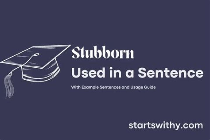 How do you use stubborn in a sentence?