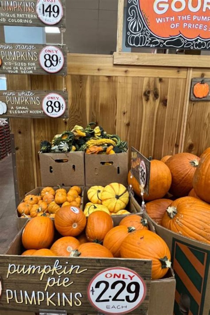 How much are pumpkins at Trader Joe’s?