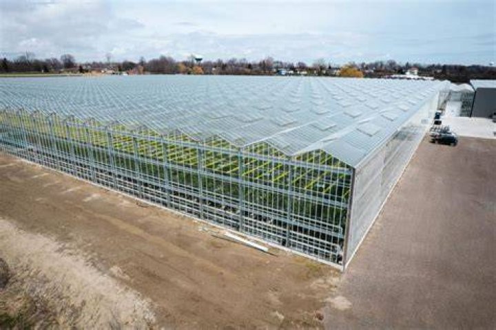 How much does a commercial greenhouse cost?