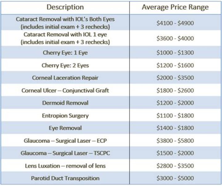 How much does eye removal surgery cost for a dog?