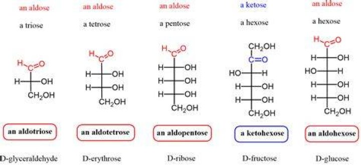Is Sucrose a Ketose?