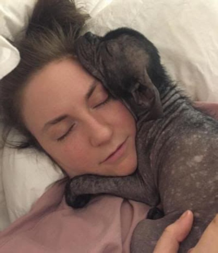 Lena Dunham Pets