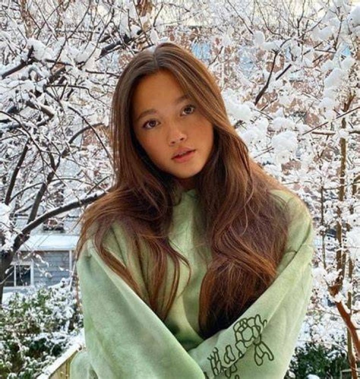 Lily Chee Bio (Wiki) 