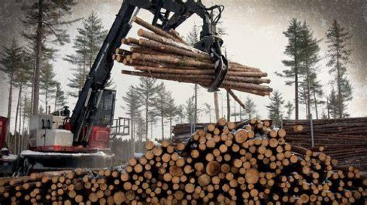 Loggers