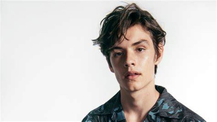 Louis Partridge Bio (Wiki) 