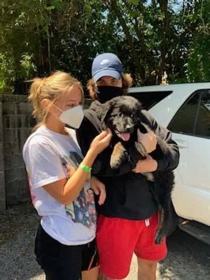 Madelyn Cline Pets - Celebrity Pets