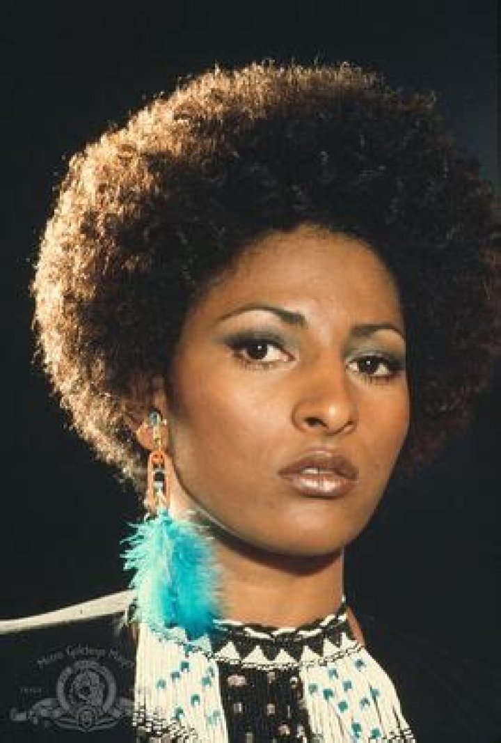 Pam Grier Bio (Wiki) 