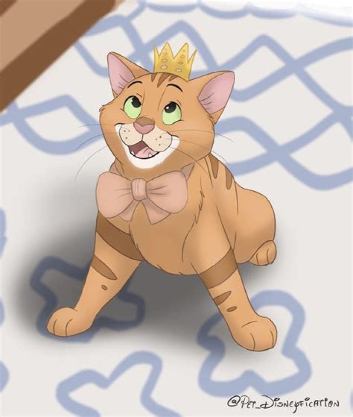 Phineas orangeisthenewblackandtan