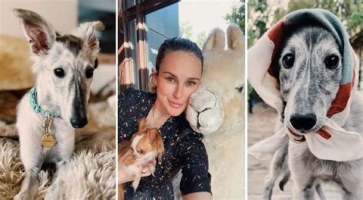 Rumer Willis gets New Dog Atlantis a Silken Windhound breed