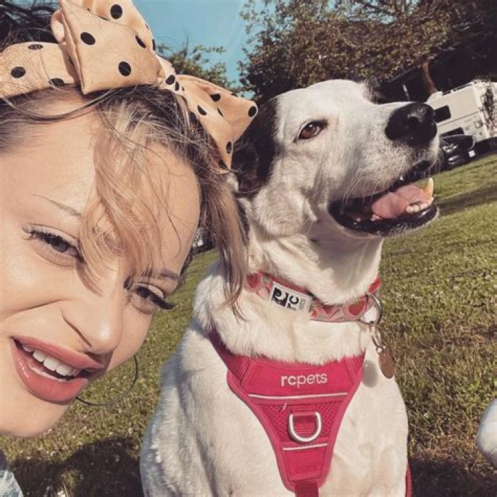 Ruth Codd Pets