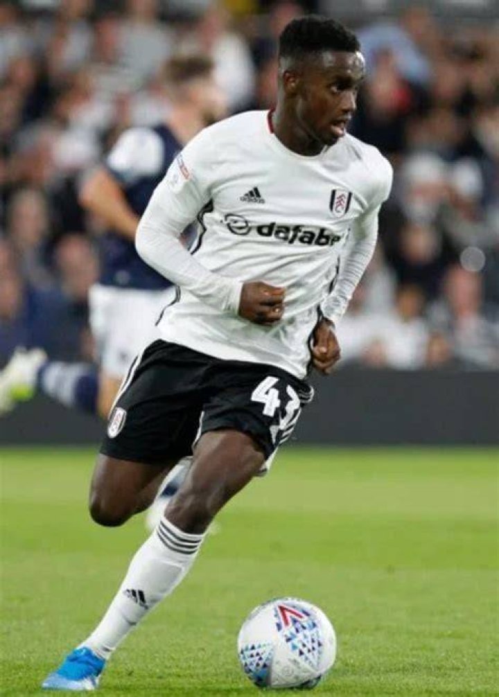 Steven Sessegnon Bio (Wiki) 