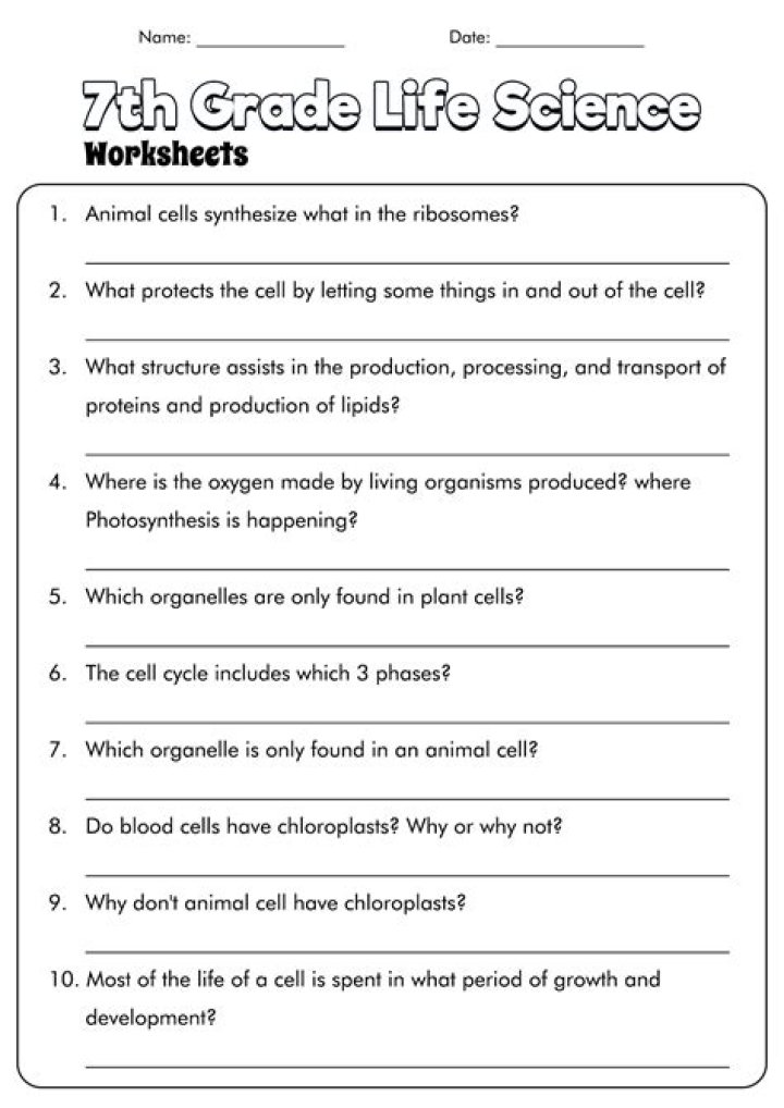 What do you learn in seventh grade science?