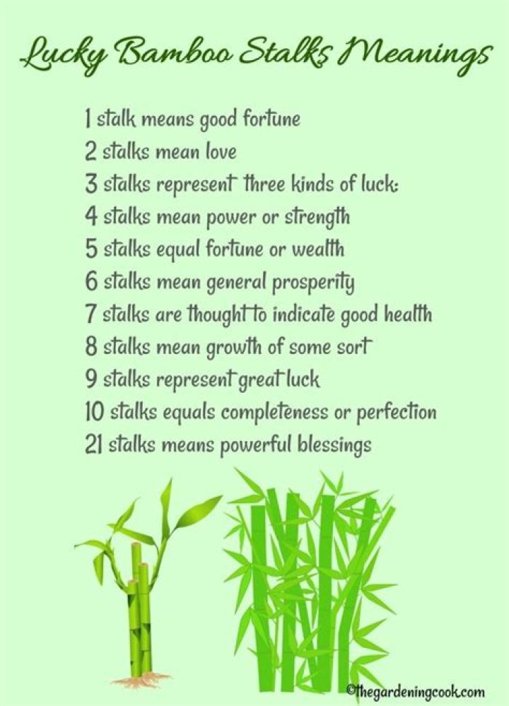 What does 1 bamboo stalk mean?