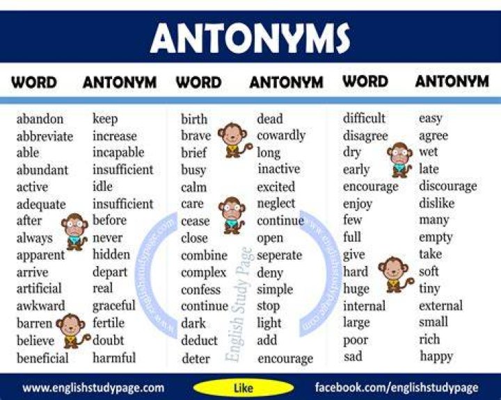 What is a antonym for activist?