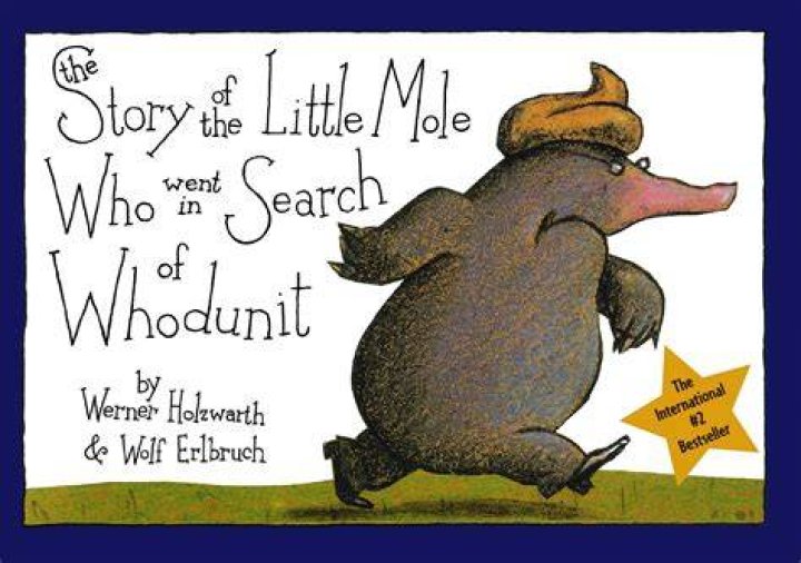 What is a whodunit story?