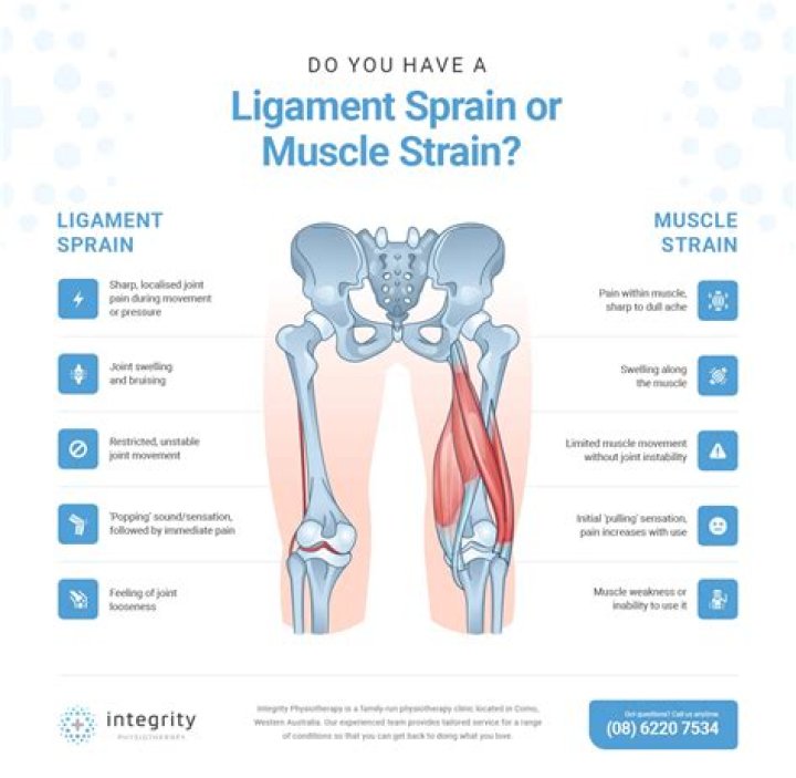 What is Musculoligamentous?