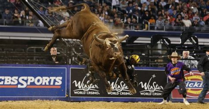 When did Bushwacker retire?
