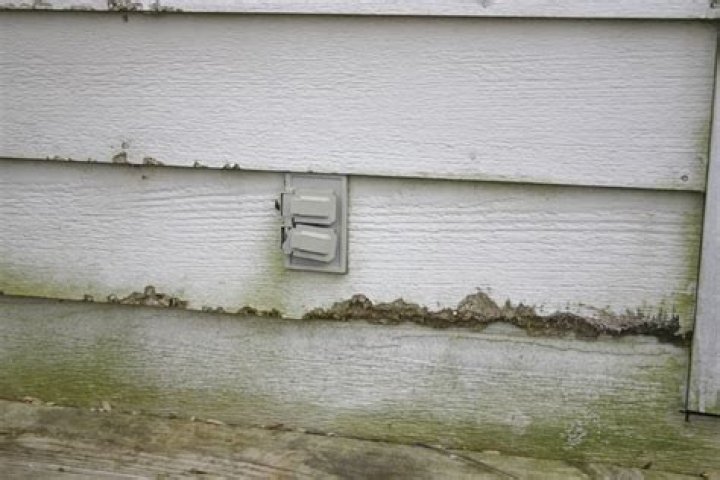 When was LP siding recall?
