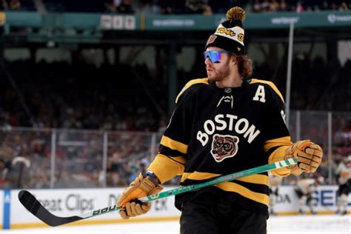 Where Is David Pastrnak From?