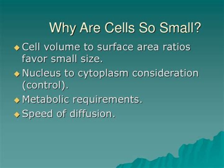 Why are cells so small physiologically?