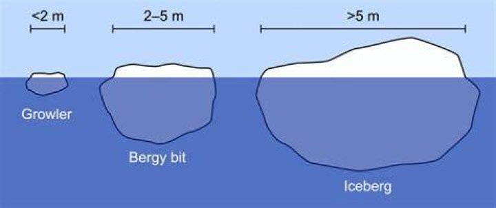 Why are small icebergs called growlers?
