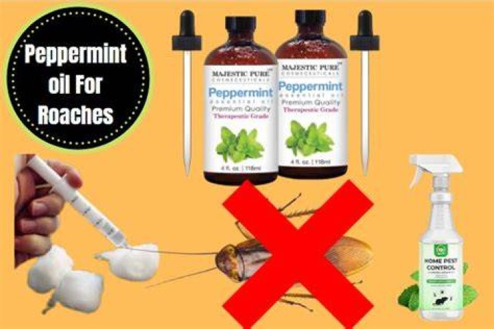 Will peppermint oil keep roaches away?