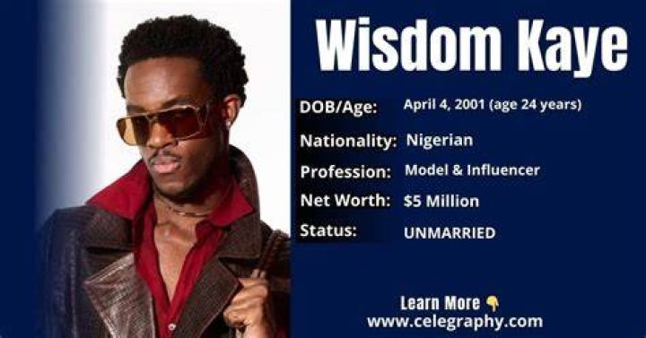 Wisdom Kaye Bio (Wiki) 
